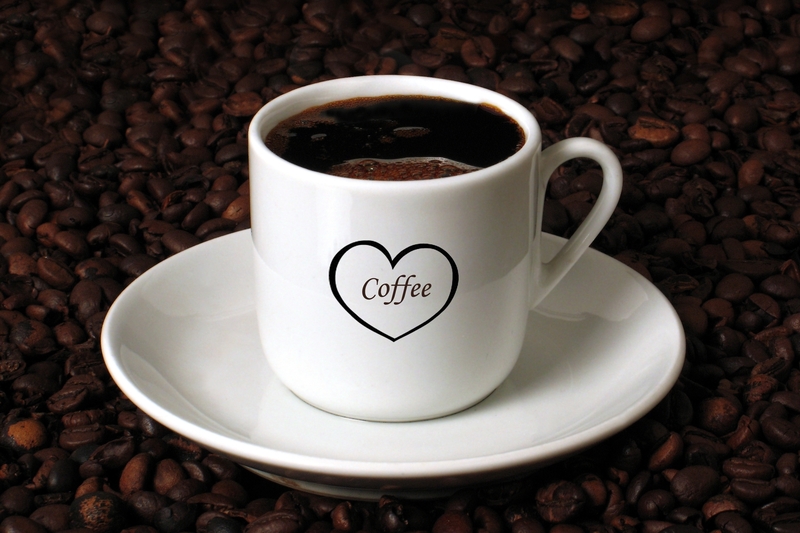 waste removal junk removal